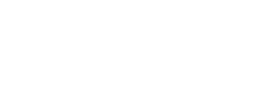Life of Boston - Your Family Matters