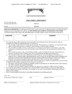 Collateral Assignment Form Licobny